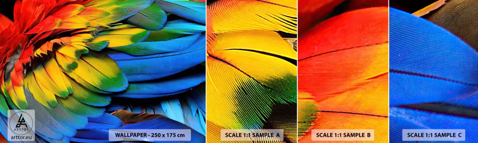 Fototapeten Muster Selbstklebend Deluxe Sticker - Paradiesvogel - Bunte Federn, Papageienfedern, Tiere - 100x30 cm