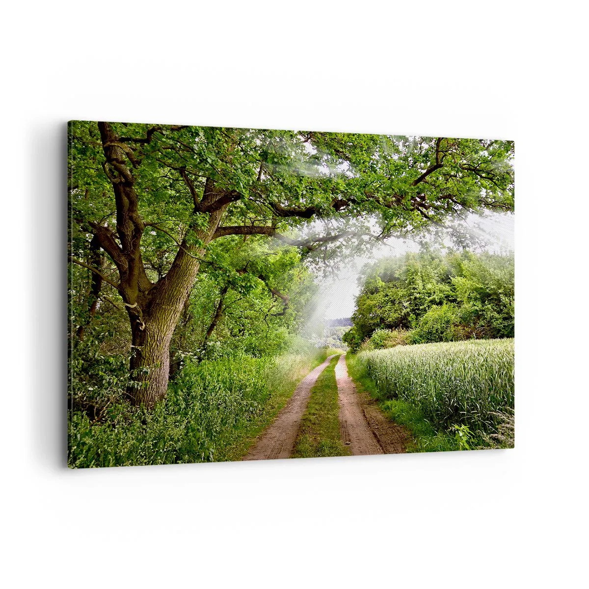 Bild auf Leinwand - Leinwandbild - Eine unbefestigte Straße zwischen grünen Bäumen und Sonnenlicht - 100x70cm - Et in Arcadia ego - Moderne Wanddekoration für Wohnzimmer und Schlafzimmer ARTTOR