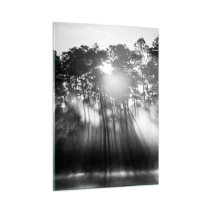 Glasbild - Bild auf glas - Schwarze und weiße Bäume in einem Wald mit Sonnenstrahlen im Dunst - 50x70cm - Unaufhaltsame Sonne - Moderne Wanddekoration für Wohnzimmer und Schlafzimmer ARTTOR