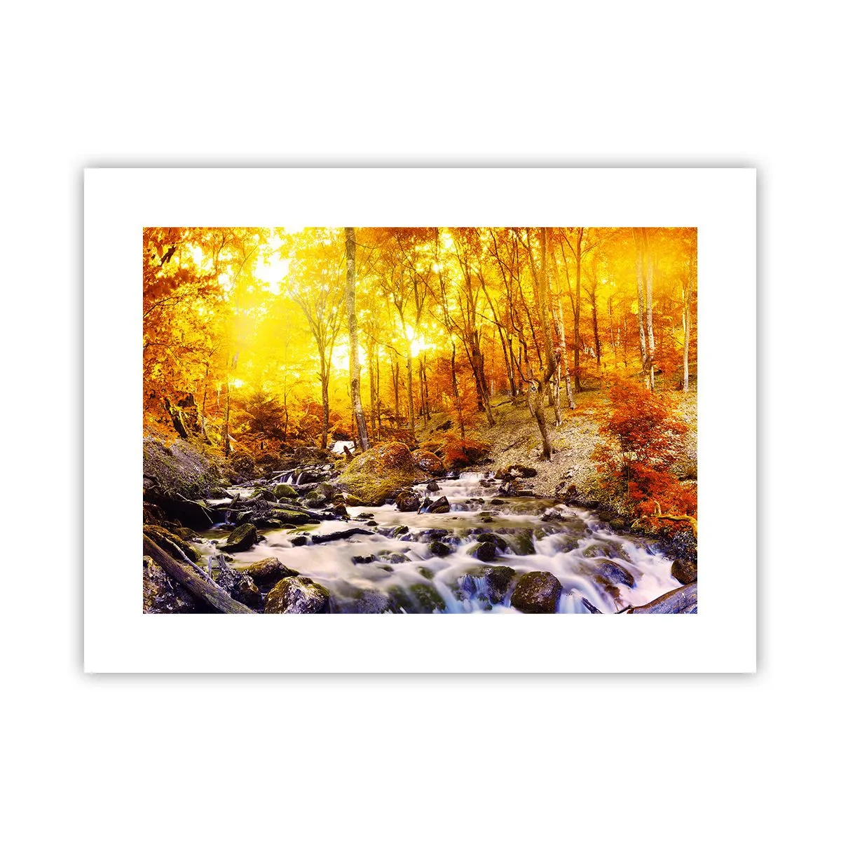 Poster - In Gold und Platin gefasste Steine - 40x30 cm