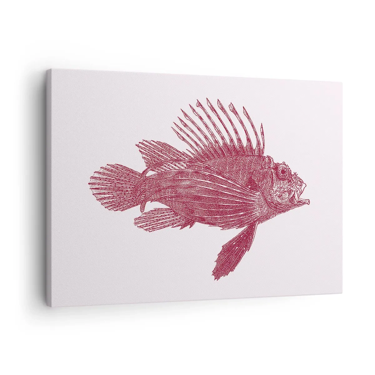 Bild auf Leinwand - Leinwandbild - Zeichnung eines Fisches in einem roten Farbton - 70x50cm - Bewohner exotischer Gewässer - Moderne Wanddekoration für Wohnzimmer und Schlafzimmer ARTTOR