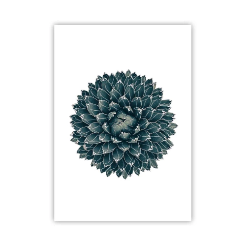 Poster - Stern der Wüste - 70x100 cm