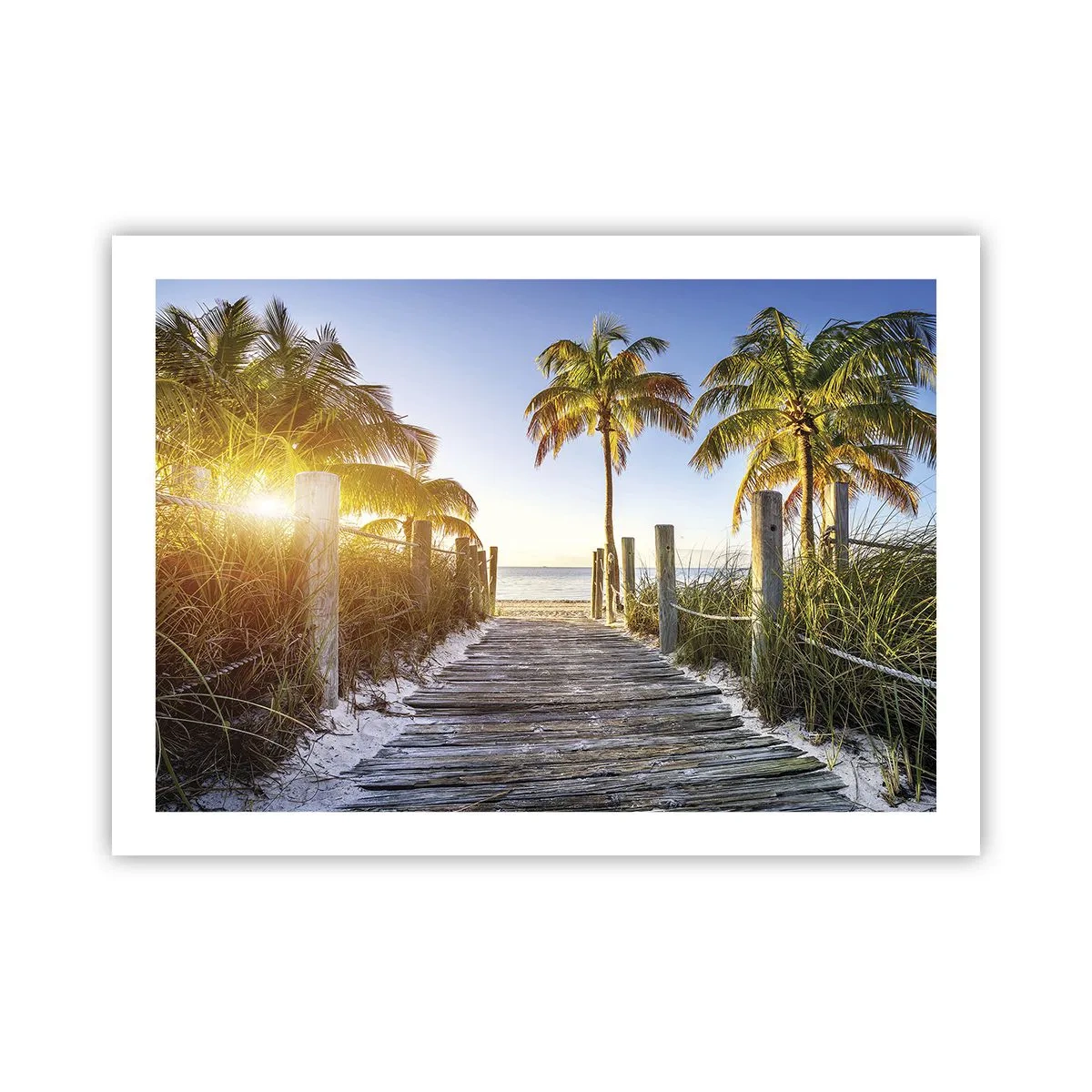 Poster - Direkt ins Paradies - 70x50 cm
