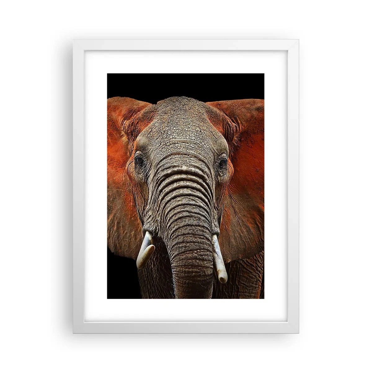 Poster in einem weißen Rahmen - Ich bin wild und du? - 30x40 cm