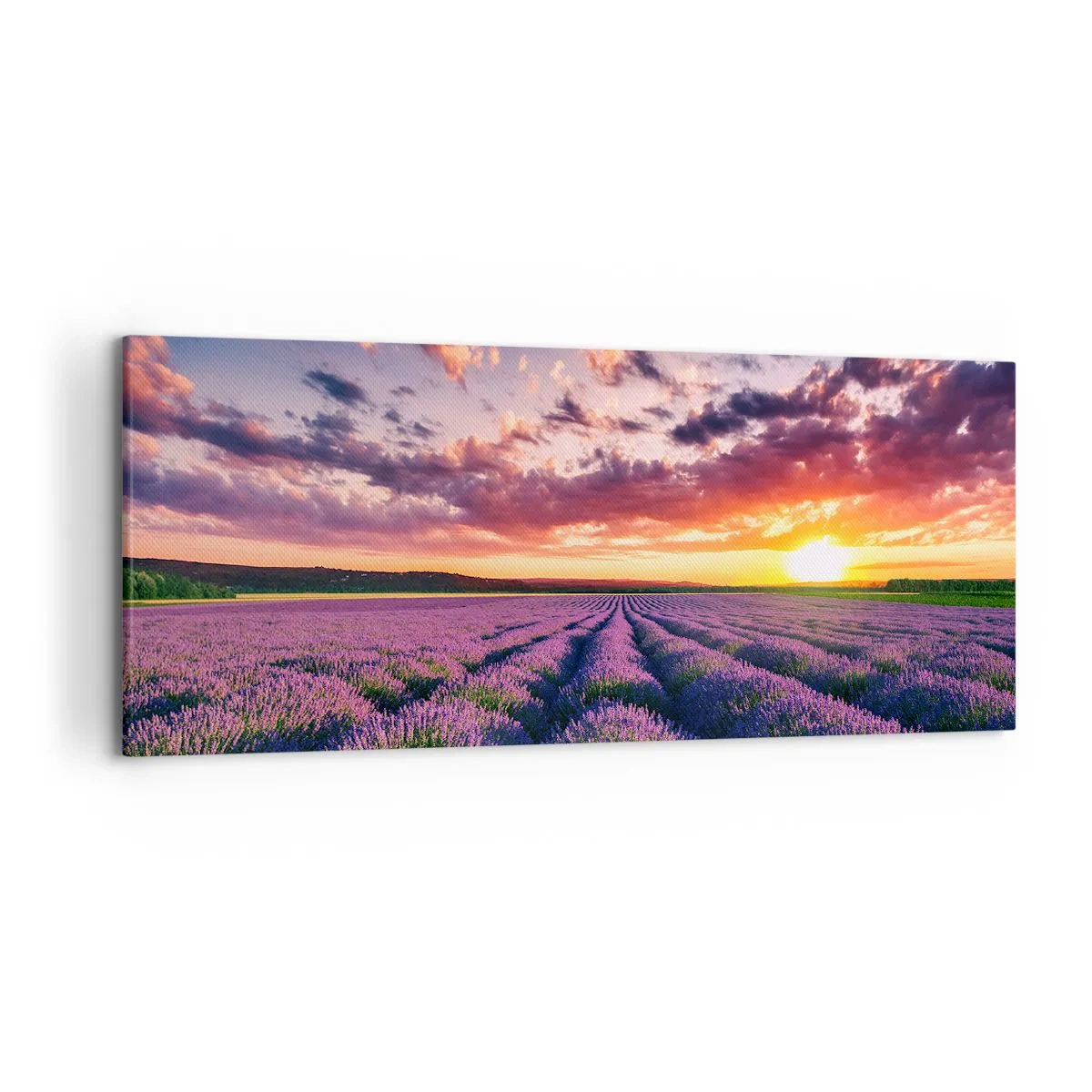 Bild auf Leinwand - Leinwandbild - Ein Lavendelfeld bei Sonnenuntergang mit einem farbenfrohen Himmel - 120x50cm - Lavendel Welt - Moderne Wanddekoration für Wohnzimmer und Schlafzimmer ARTTOR