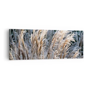 Bild auf Leinwand - Leinwandbild - Winterliche Grashalme mit Frost bedeckt vor einem dunkelgrünen Hintergrund - 140x50cm - Gekleidet mit Frost - Moderne Wanddekoration für Wohnzimmer und Schlafzimmer ARTTOR
