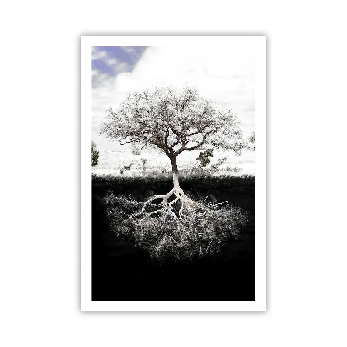 Poster - Die Natur der Welt entdecken - 61x91 cm