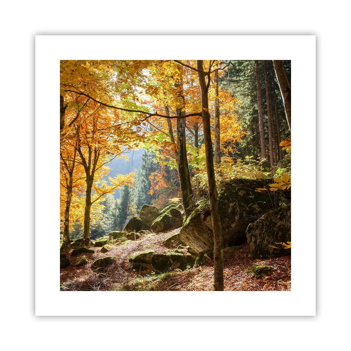 Poster - Zeit zum Entspannen - 40x40 cm