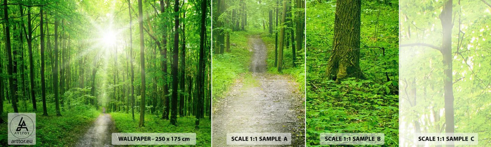 Fototapetenmuster Standard Eco - Die grüne Kathedrale - Landschaft, Wald, Sonnenstrahlen - 100x30 cm