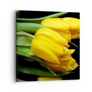 Bild auf Leinwand - Leinwandbild - Aus klarer Sonne entstanden - 30x30 cm