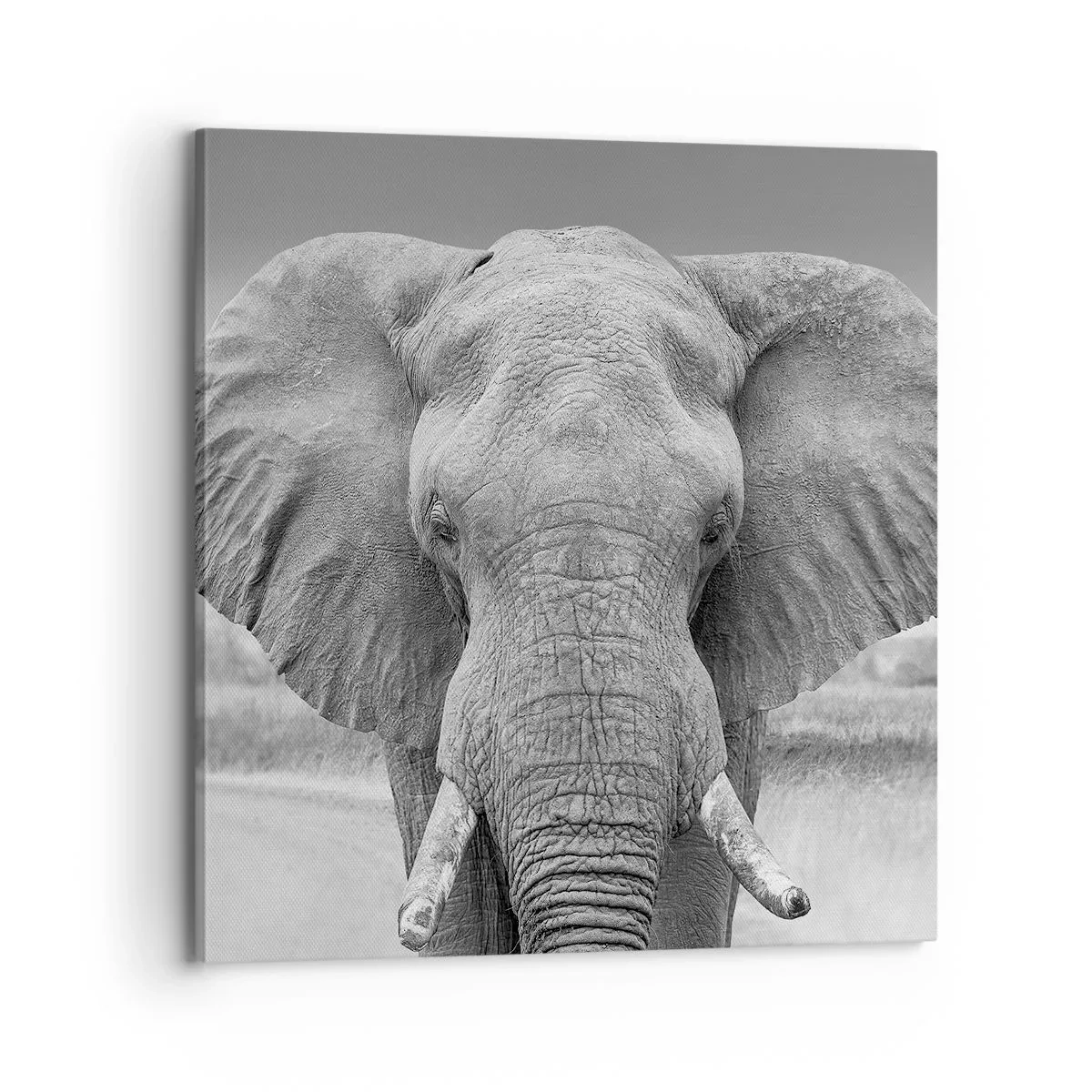 Bild auf Leinwand - Leinwandbild - Willkommen in meiner Welt - 70x70 cm