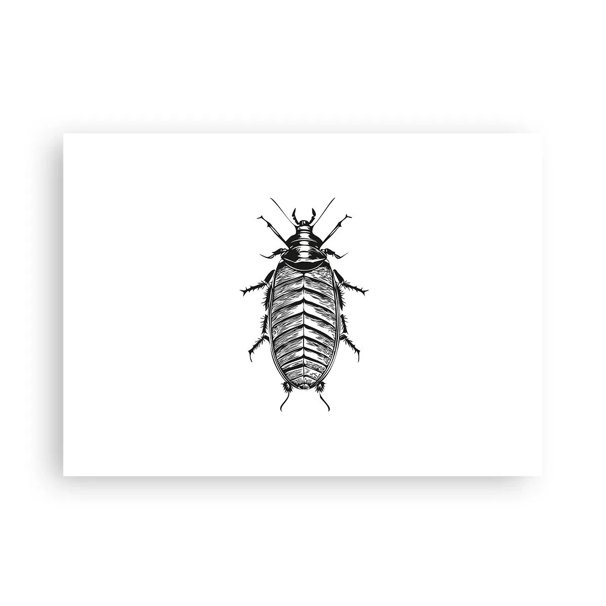 Poster - Was für ein Exemplar! - 70x50 cm