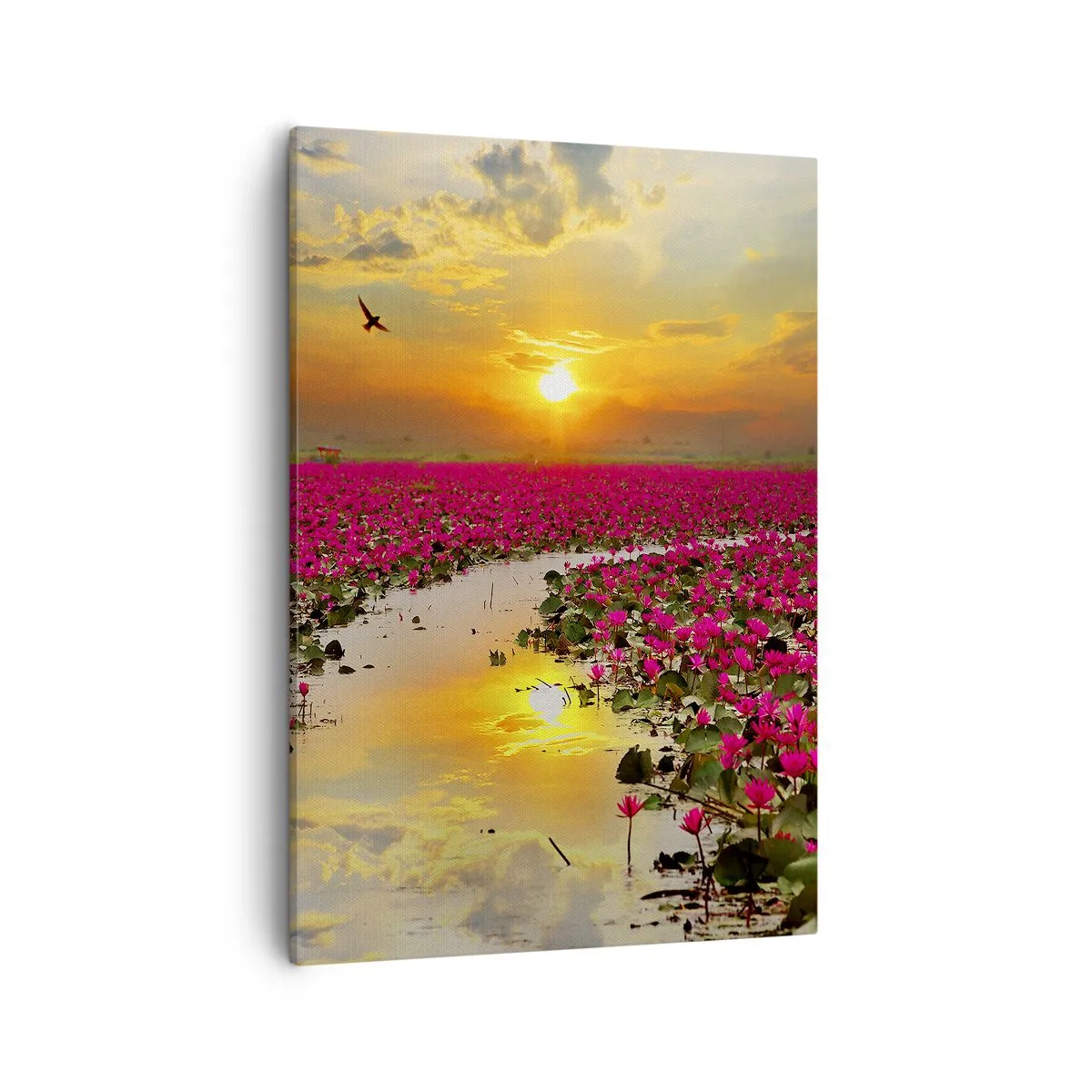 Bild auf Leinwand - Leinwandbild - Ein Feld mit rosa Seerosen bei Sonnenuntergang - 50x70cm - Das geheime Leben des Sees - Moderne Wanddekoration für Wohnzimmer und Schlafzimmer ARTTOR