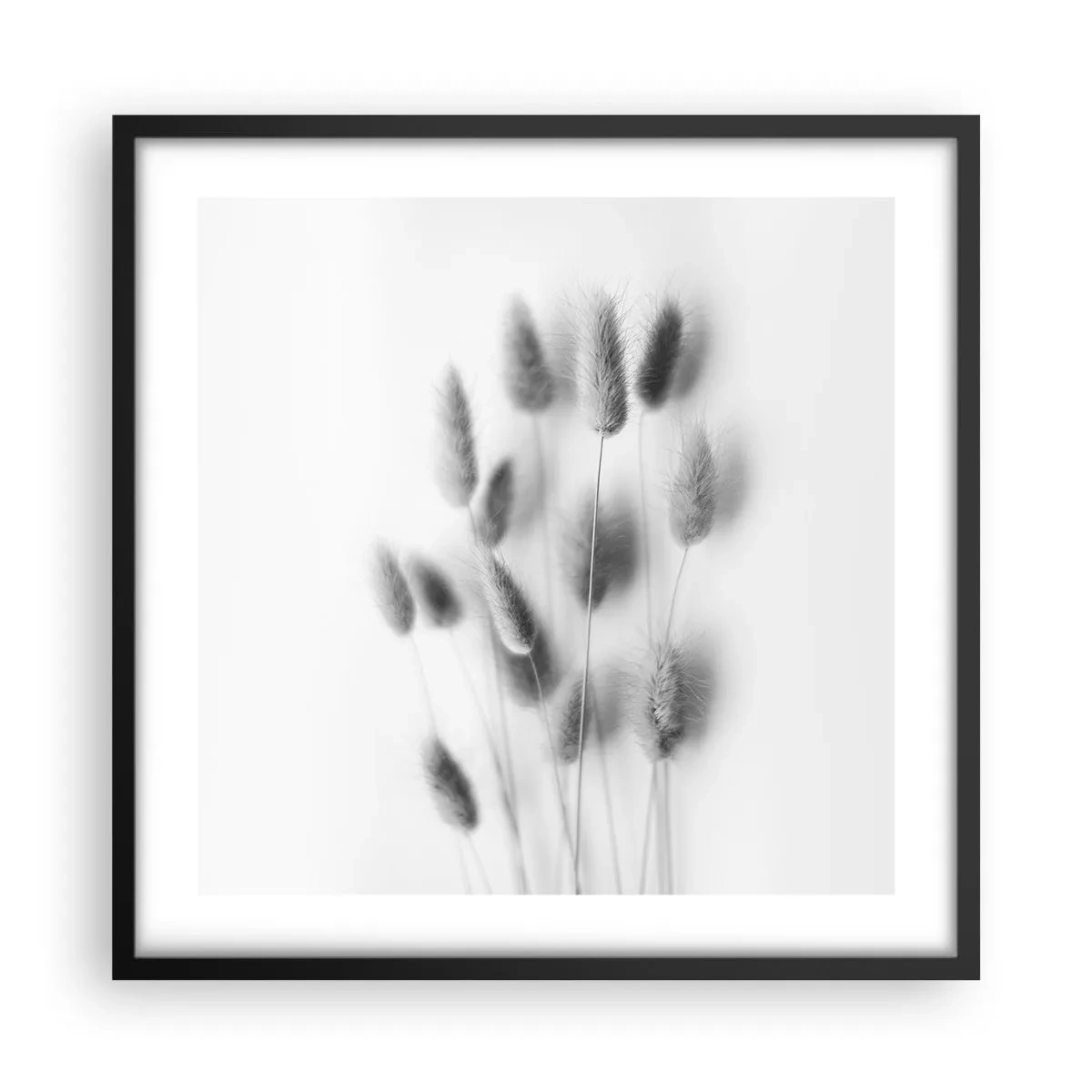 Poster in einem schwarzem Rahmen - Eure flauschige Grashoheit - 50x50 cm