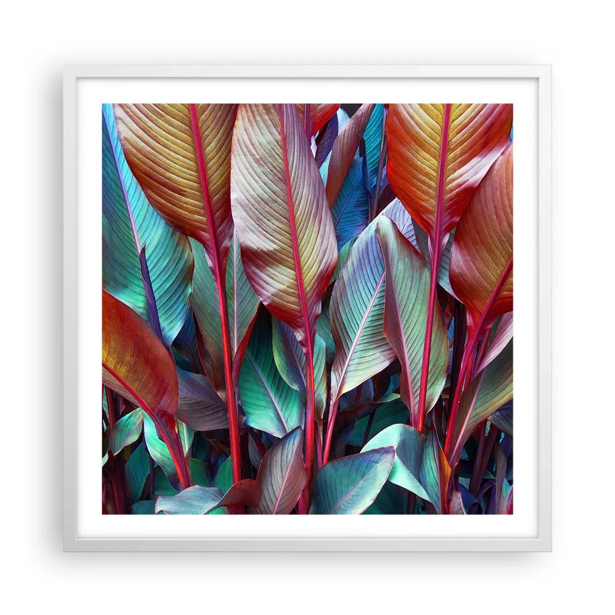 Poster in einem weißen Rahmen - Buntes Dickicht - 60x60 cm