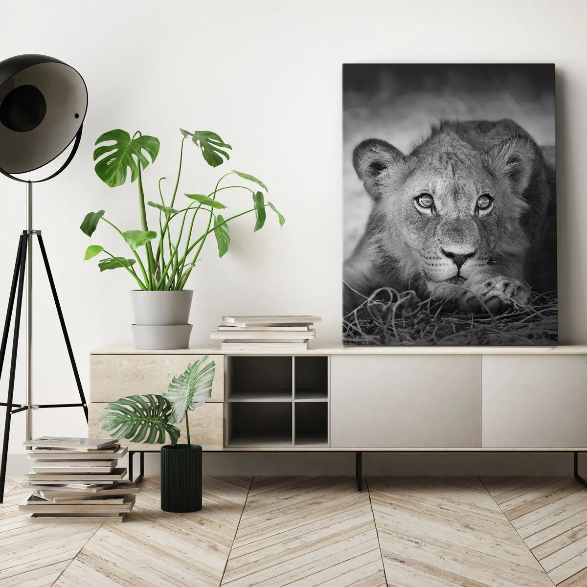 Bild auf Leinwand - Leinwandbild - Monochromes Porträt eines liegenden jungen Löwen - 50x70cm - Königlicher Welpe - Moderne Wanddekoration für Wohnzimmer und Schlafzimmer ARTTOR