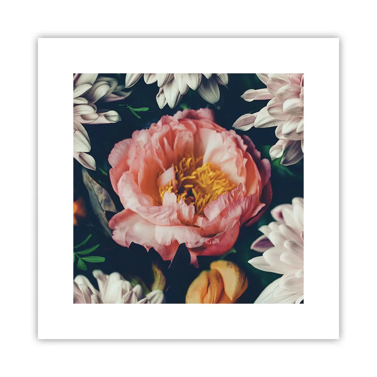 Poster - Mit barocker Pracht - 30x30 cm