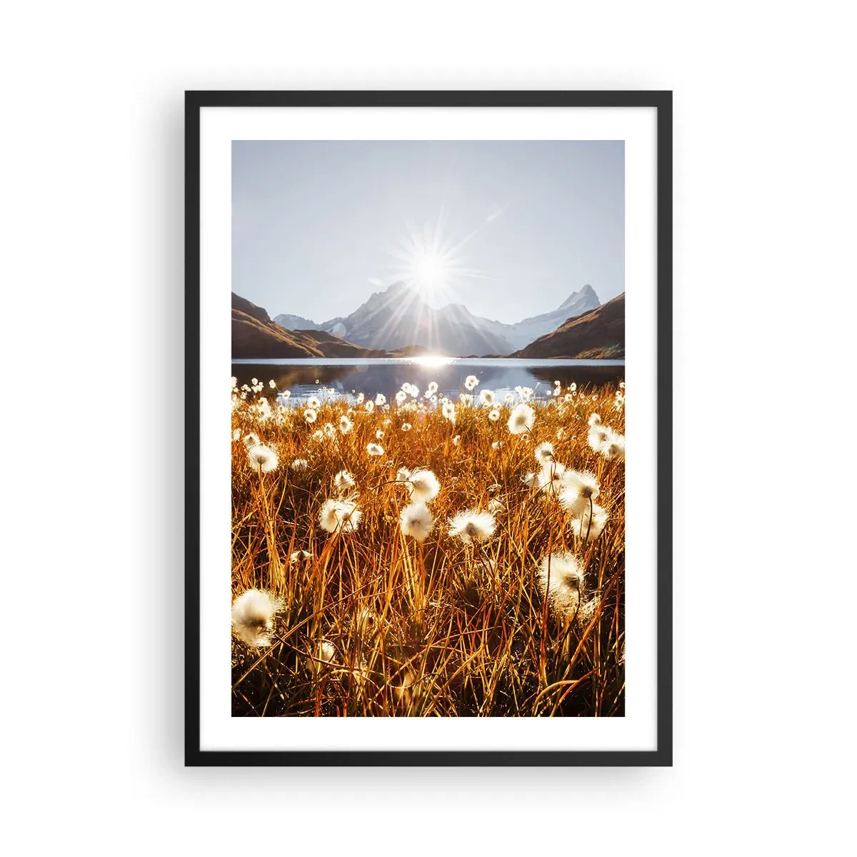 Poster in einem schwarzem Rahmen - Eine Wiese mit weißen Blumen vor einem See und Bergen bei Sonnenuntergang - 50x70cm - Steinhärte, Grasweichheit - Moderne Wanddekoration für Wohnzimmer und Schlafzimmer ARTTOR