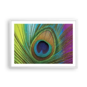 Poster in einem weißen Rahmen - Auge in Auge - 70x50 cm