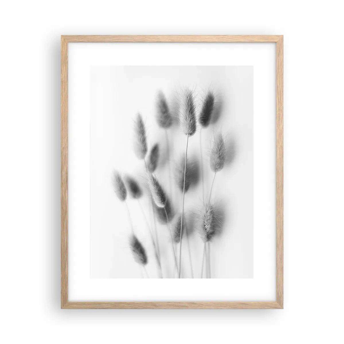 Poster in einem Rahmen aus heller Eiche - Eure flauschige Grashoheit - 40x50 cm