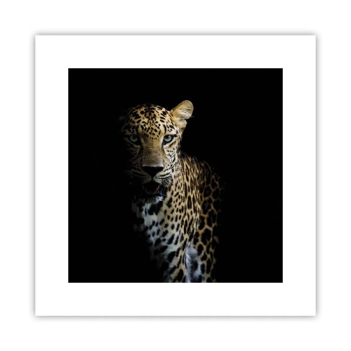 Poster - Dunkle Schönheit - 30x30 cm