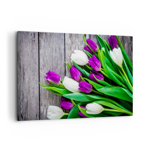 Bild auf Leinwand - Leinwandbild - Ein Strauß lila und weißer Tulpen auf einem hölzernen Hintergrund - 120x80cm - Am Tag der Frühlingsferien - Moderne Wanddekoration für Wohnzimmer und Schlafzimmer ARTTOR