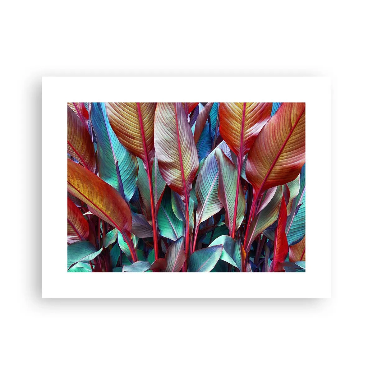 Poster - Buntes Dickicht - 40x30 cm