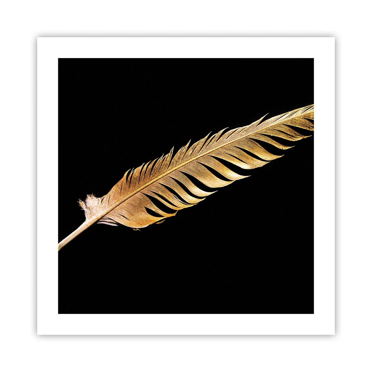 Poster - Er hat ein ungewöhnliches Schreibtalent ... - 50x50 cm