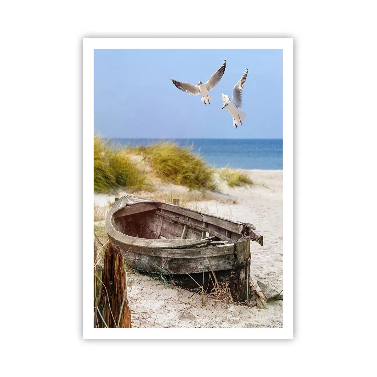 Poster - In Wind gebadet - 70x100 cm