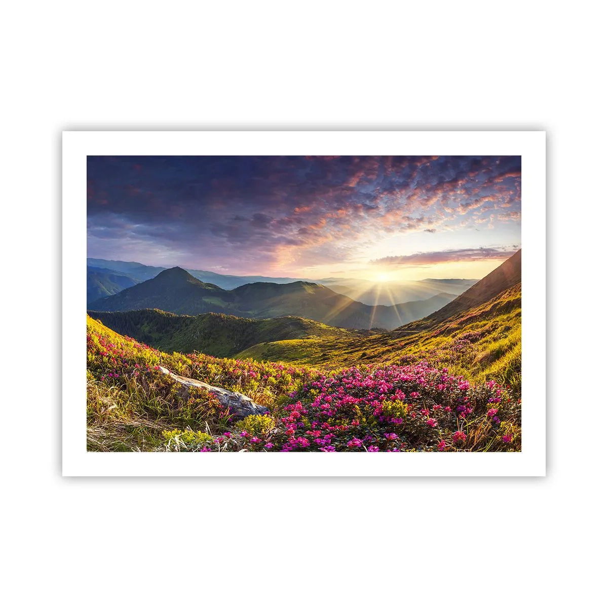 Poster - Frische am Bergmorgen - 70x50 cm