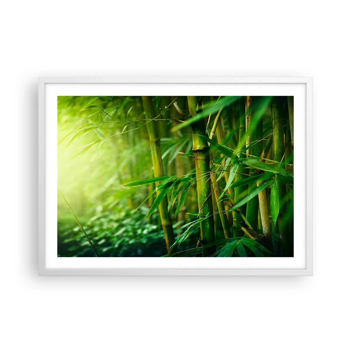 Poster in einem weißen Rahmen - Lerne Grün selbst kennen - 70x50 cm