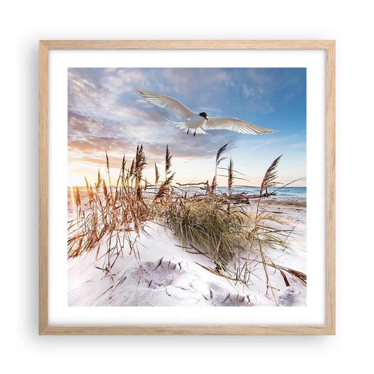 Poster in einem Rahmen aus heller Eiche - Wind vom Meer - 50x50 cm