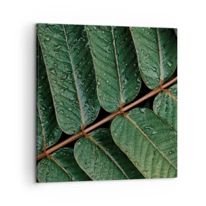 Bild auf Leinwand - Leinwandbild - Im grünen Rhythmus - 50x50 cm