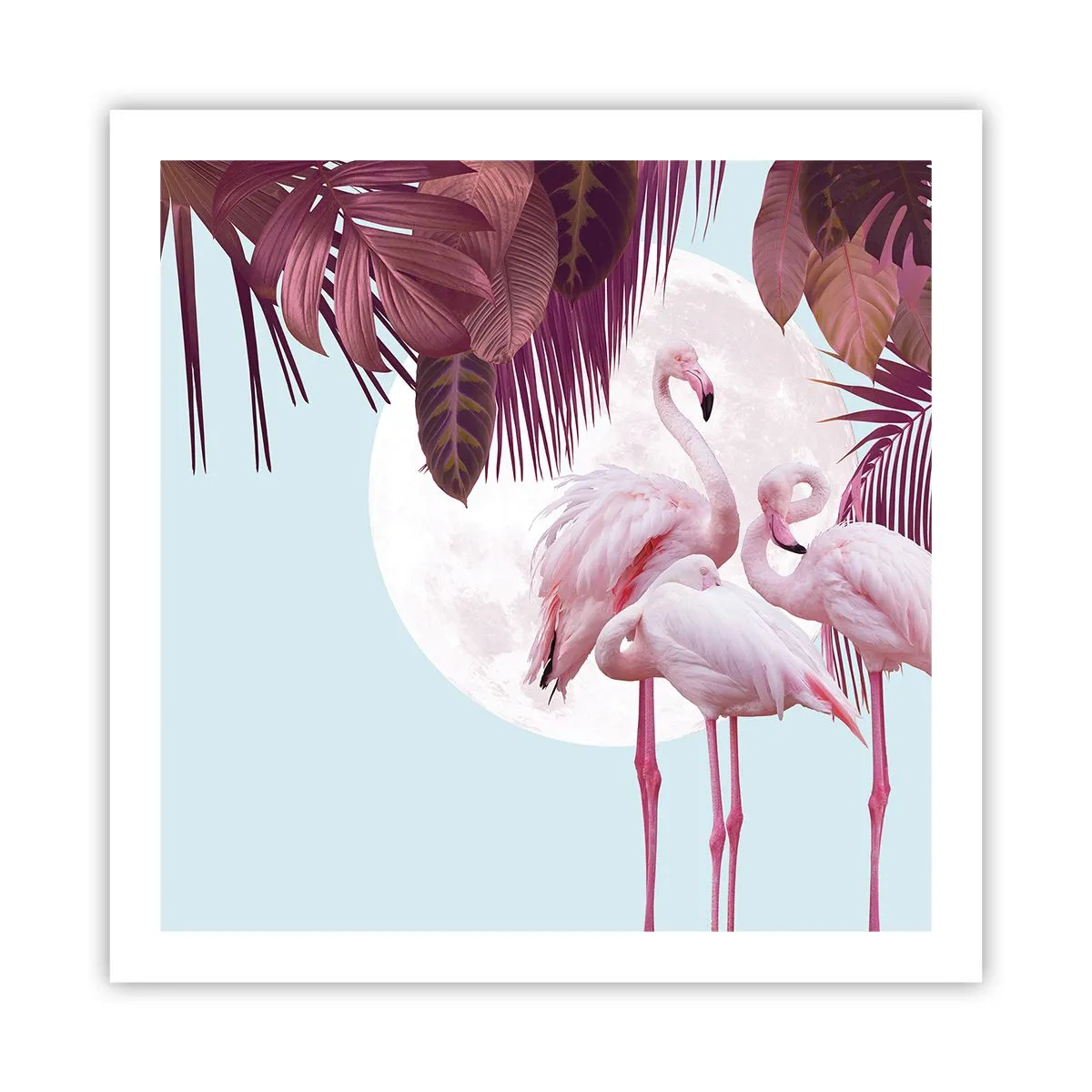 Poster - Drei Vogelgnaden - 60x60 cm