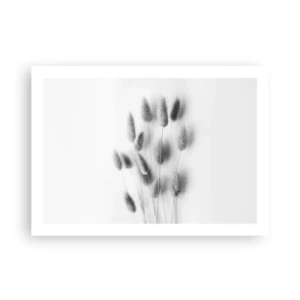 Poster - Eure flauschige Grashoheit - 70x50 cm