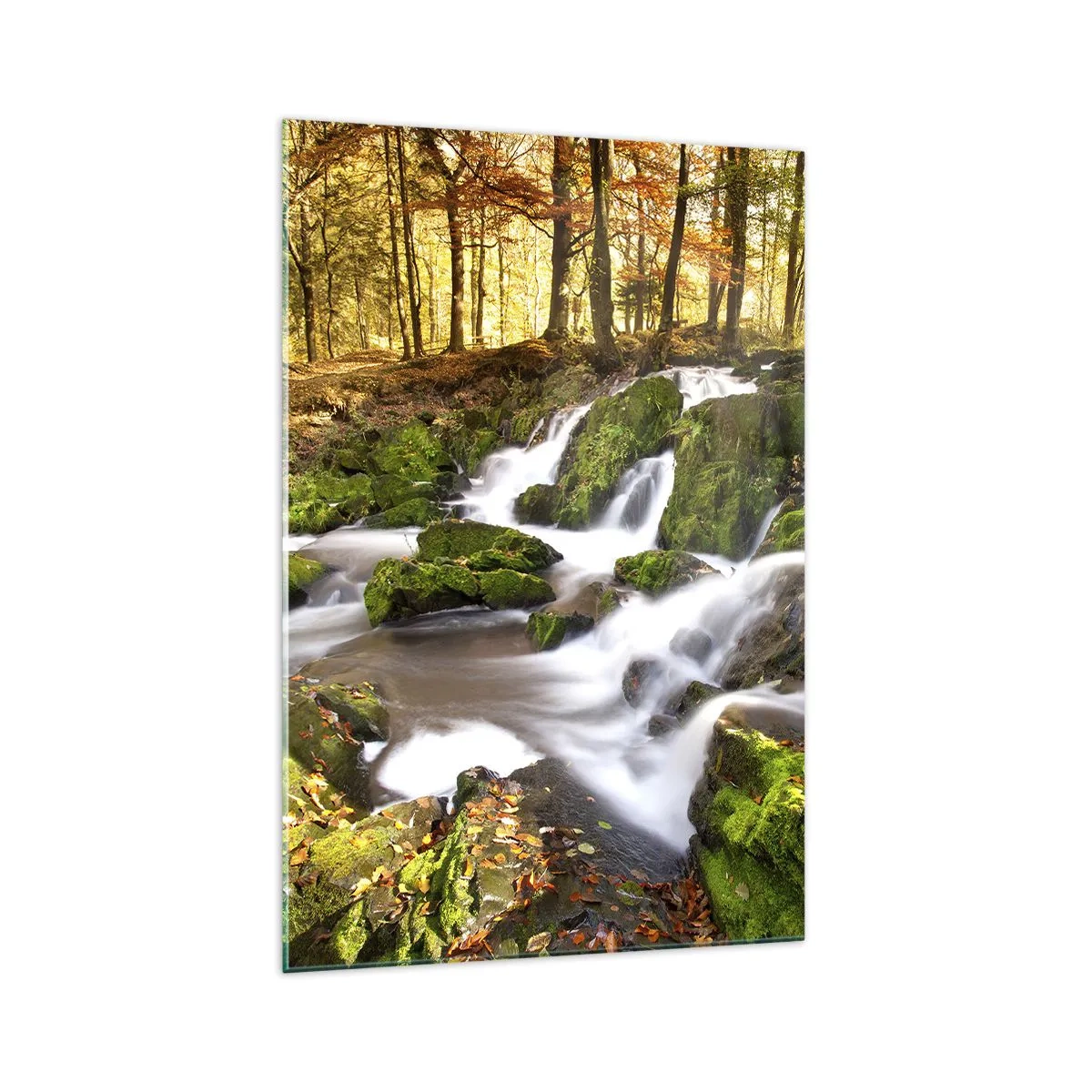 Glasbild - Bild auf glas - Eine bewaldete Landschaft mit einem von Moos umgebenen Wasserfall - 70x100cm - Rasch durch den herbstlichen Wald - Moderne Wanddekoration für Wohnzimmer und Schlafzimmer ARTTOR