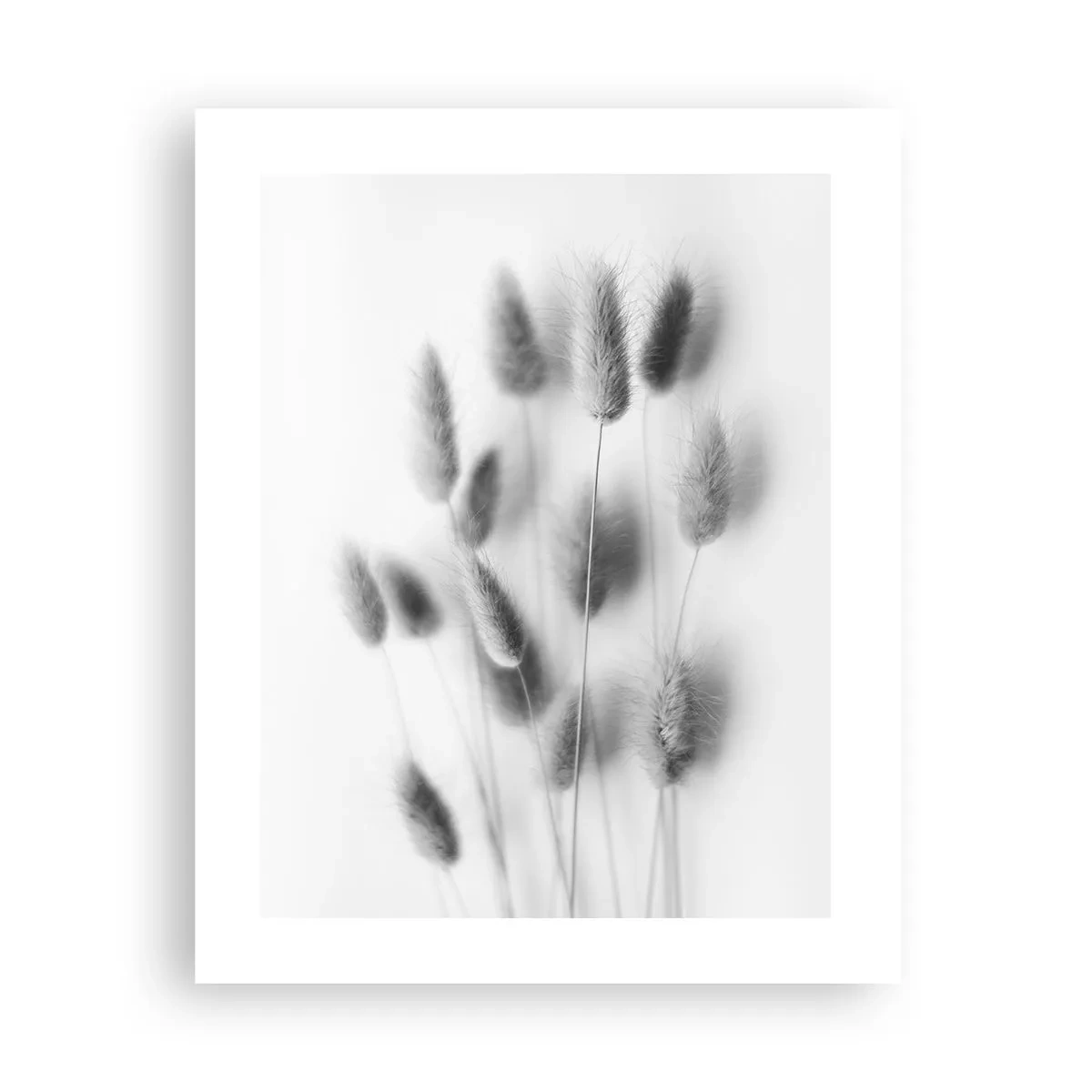 Poster - Eure flauschige Grashoheit - 40x50 cm
