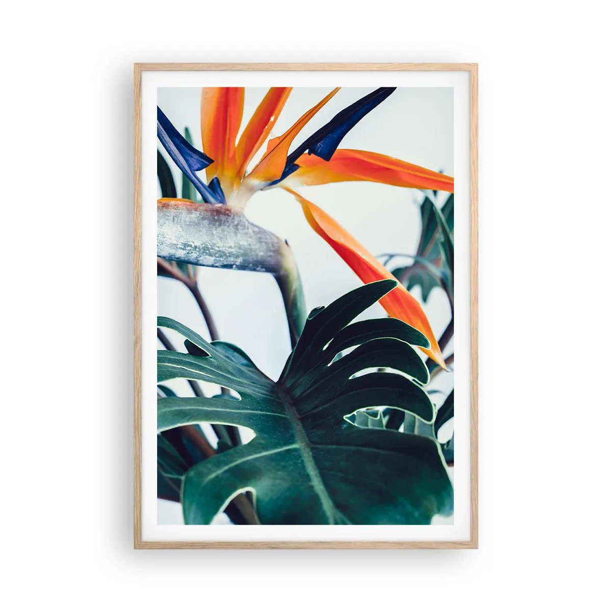 Poster in einem Rahmen aus heller Eiche - Vogelbusch - 70x100 cm