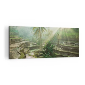 Bild auf Leinwand - Leinwandbild - In der Sonne aufwachsen - 100x40 cm