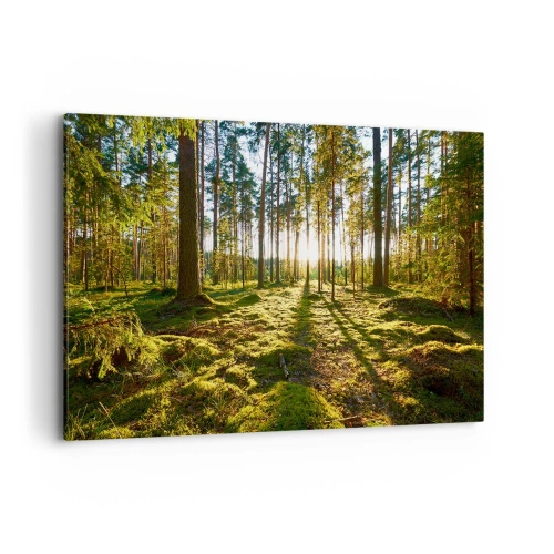 Bild auf Leinwand - Leinwandbild - Grüner Wald, beleuchtet durch Sonnenlicht auf dem Moos - 120x80cm - … Hinter den sieben Wäldern - Moderne Wanddekoration für Wohnzimmer und Schlafzimmer ARTTOR