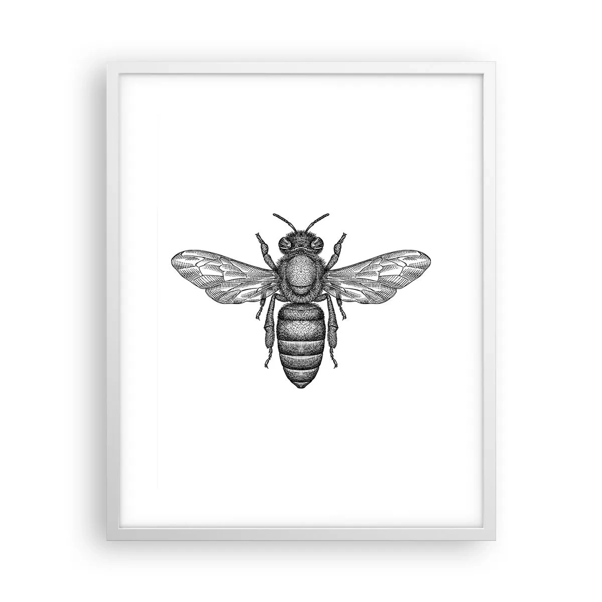 Poster in einem weißen Rahmen - Insektenporträt - 40x50 cm