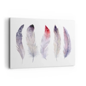 Bild auf Leinwand - Leinwandbild - Fünf zarte Federn in Pastelltönen auf hellem Untergrund - 100x70cm - Zart wie mehrfarbiger Nebel - Moderne Wanddekoration für Wohnzimmer und Schlafzimmer ARTTOR