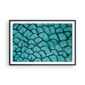 Poster in einem schwarzem Rahmen - Große Federgala - 91x61 cm