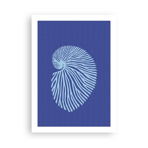 Poster - Stilisierte Muschelgrafiken in spiralförmiger Anordnung - 50x70cm - Geburt der Muschel - Moderne Wanddekoration für Wohnzimmer und Schlafzimmer ARTTOR
