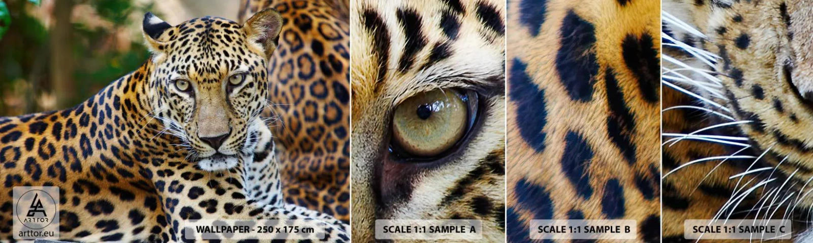 Fototapetenmuster Standard Eco - Wild und ruhig - Tiere, Leopard, Afrika - 100x30 cm