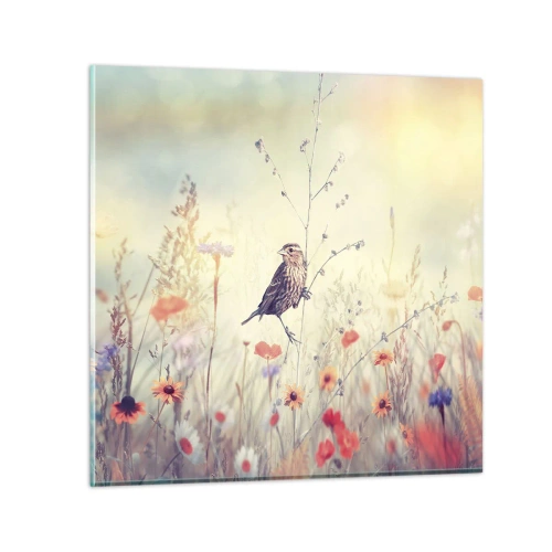 Glasbild - Bild auf glas - Vogelporträt mit einer Wiese im Hintergrund - 50x50 cm