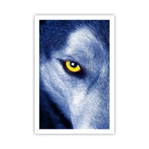 Poster - Faszinierender Blick - 61x91 cm