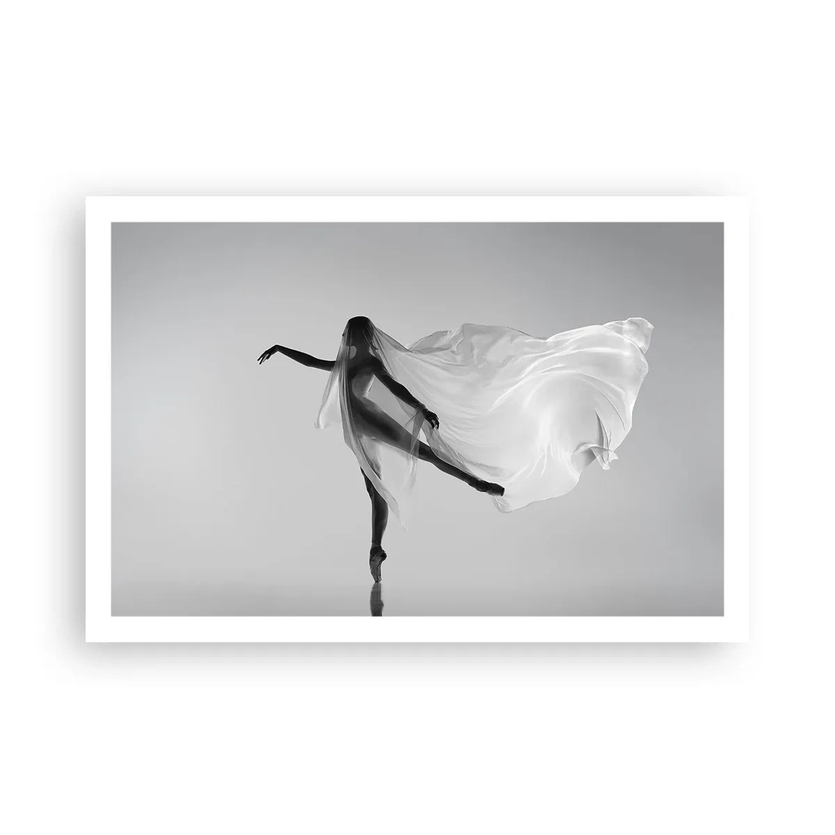 Poster - Leichtigkeit und Anmut - 91x61 cm