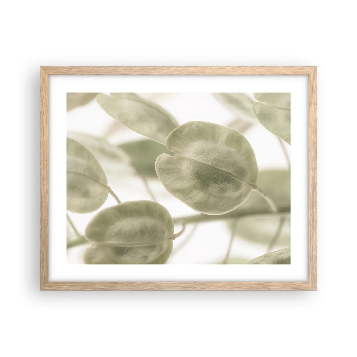 Poster in einem Rahmen aus heller Eiche - Am Anfang waren Blätter... - 50x40 cm