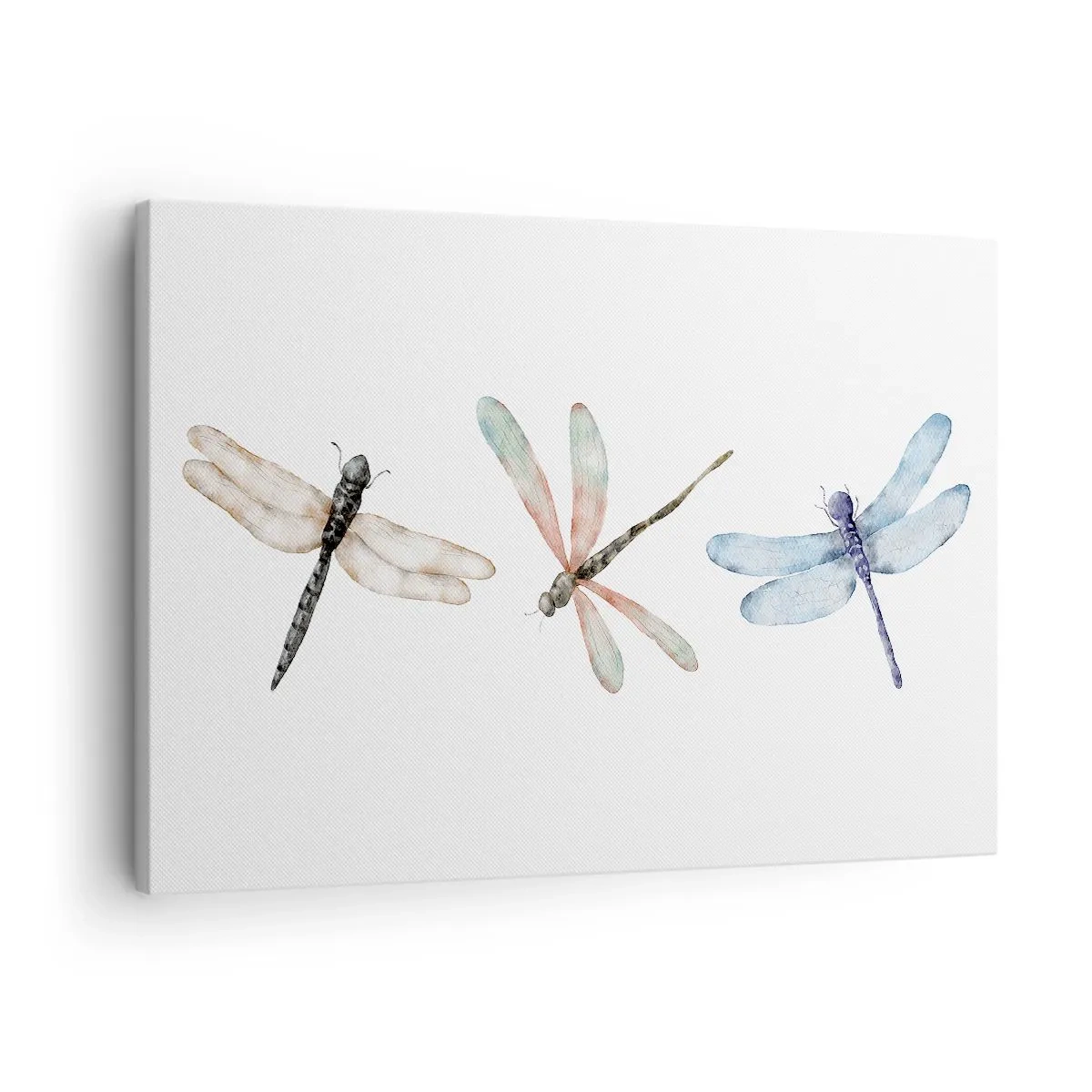 Bild auf Leinwand - Leinwandbild - Drei Libellen in zarten Pastellfarben - 70x50cm - Schwerelose Libellen - Moderne Wanddekoration für Wohnzimmer und Schlafzimmer ARTTOR